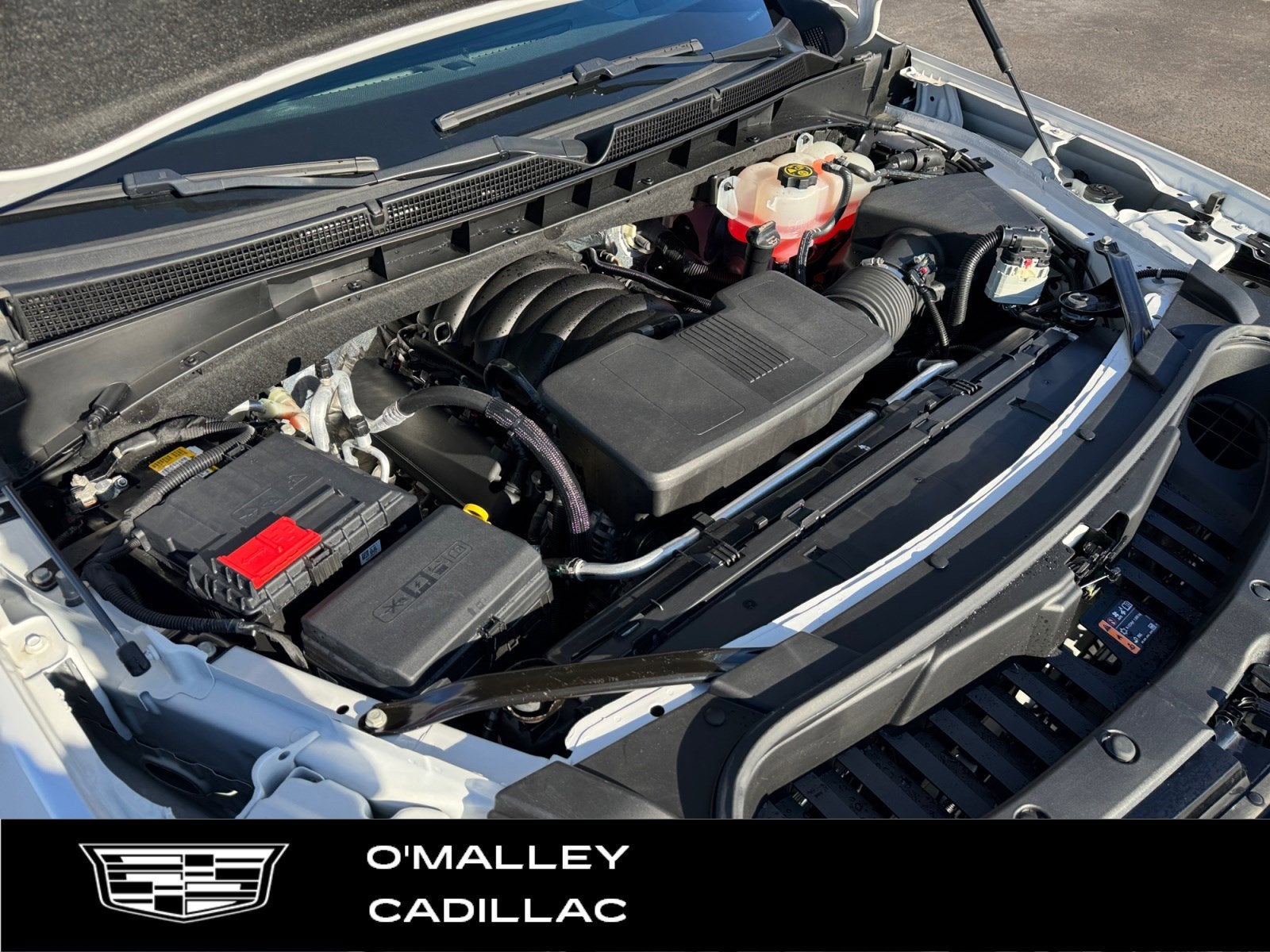 2023 Cadillac Escalade ESV Premium Luxury