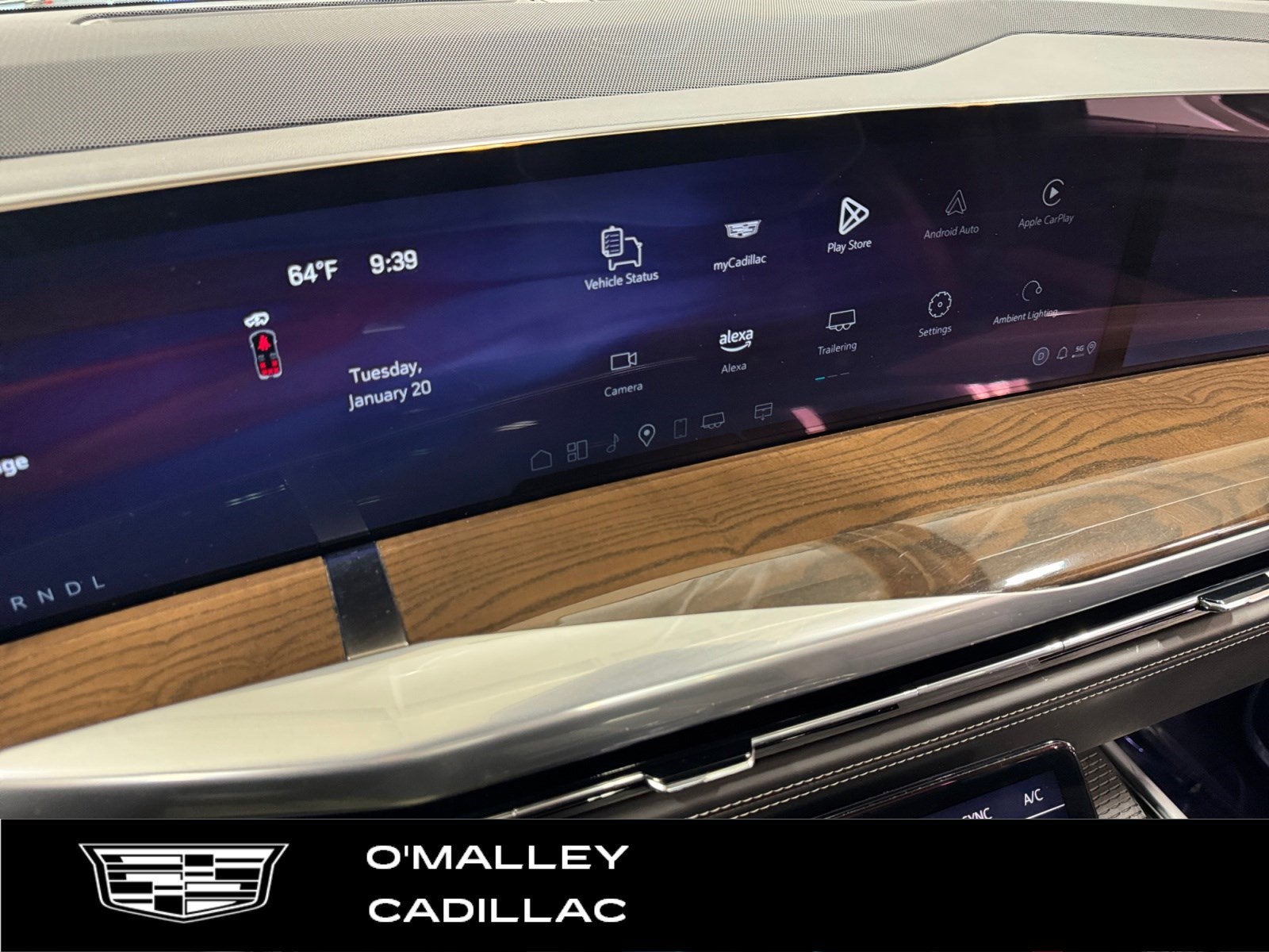 2025 Cadillac Escalade Sport Platinum