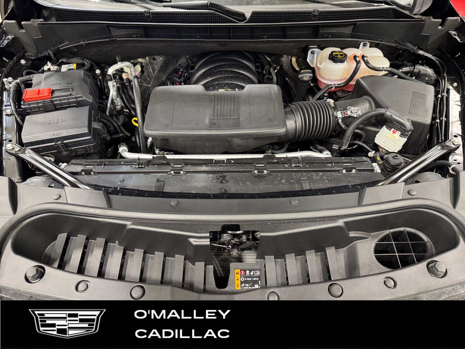 2025 Cadillac Escalade Sport Platinum