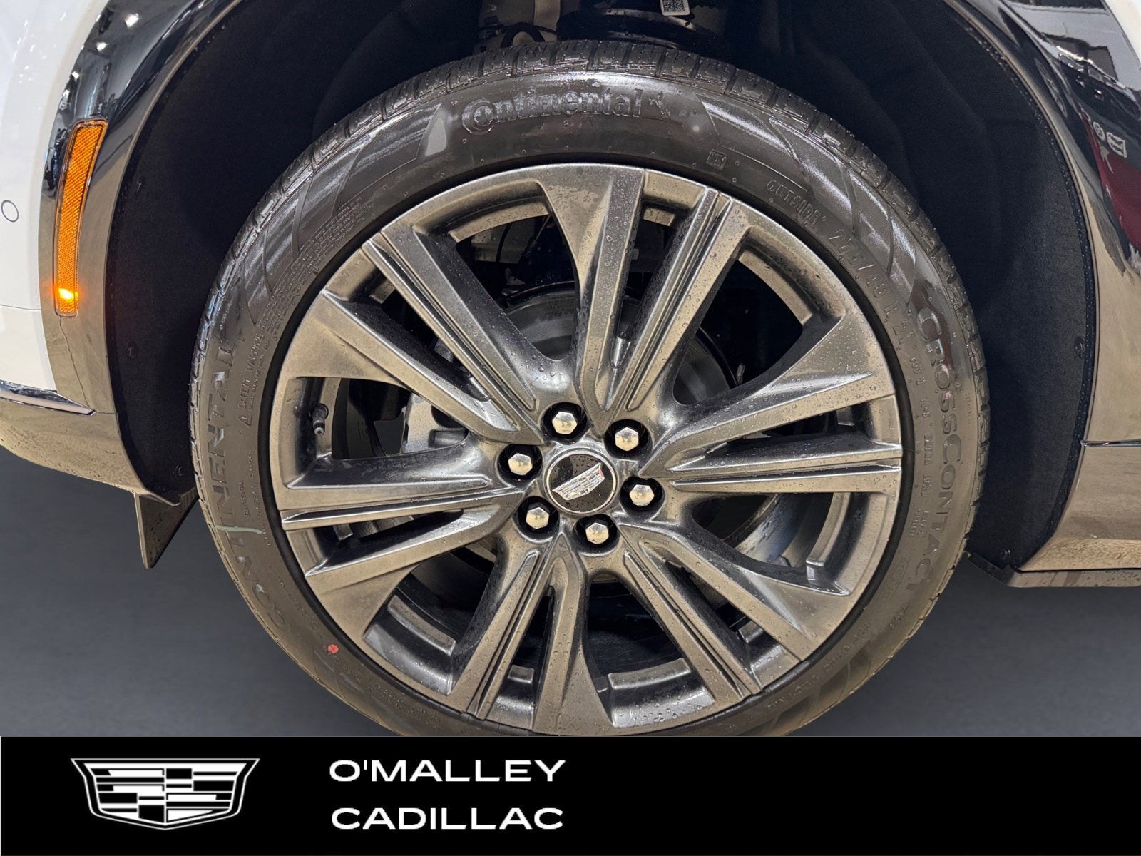 2026 Cadillac OPTIQ Premium Sport