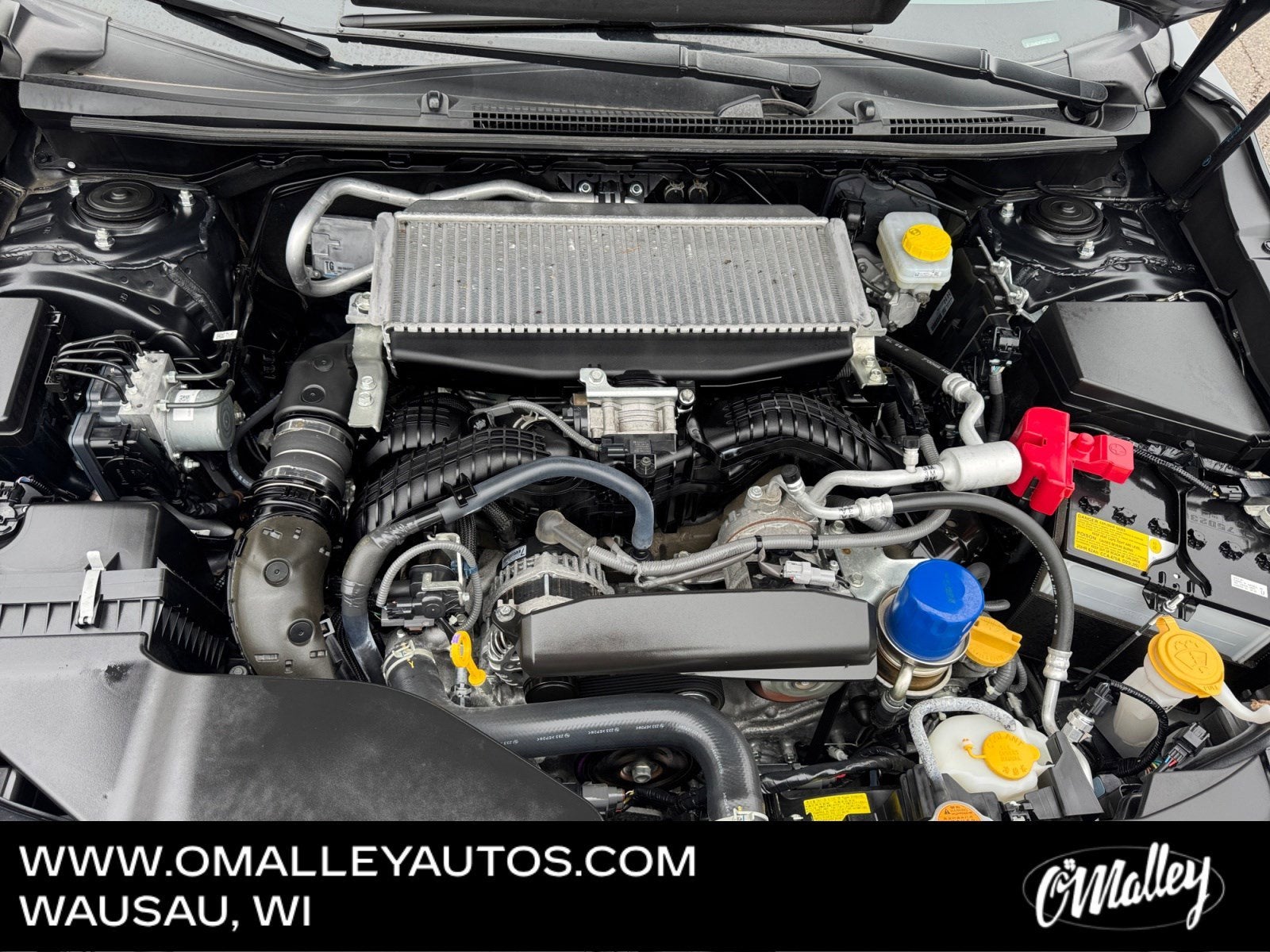 2023 Subaru WRX Limited